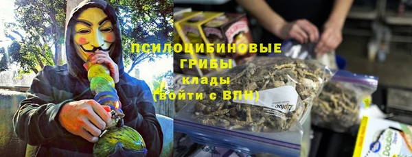 а пвп мука Дмитриев