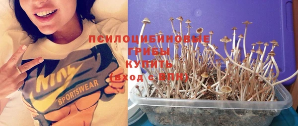 а пвп мука Дмитриев