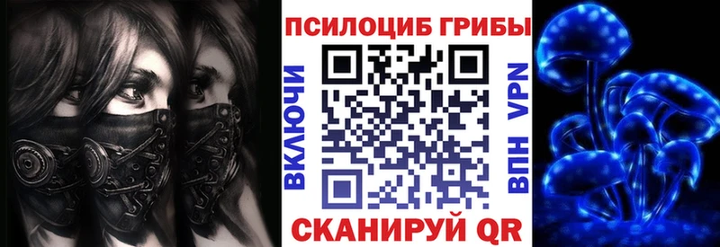 Псилоцибиновые грибы мухоморы  Купить где  Нерчинск 